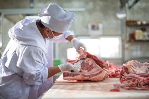 Interzicerea subcontractării în abatoarele din Germania
